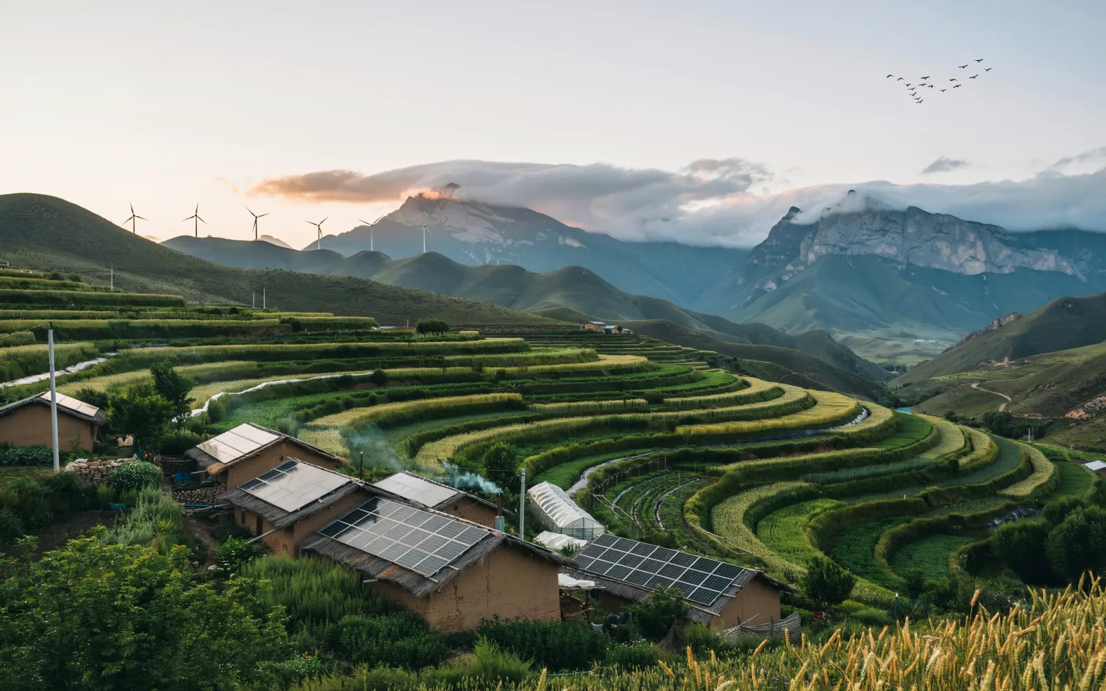 China Hosts Climate-Resilience Dialogue in Gansu, Showcasing Rural Green Transformation